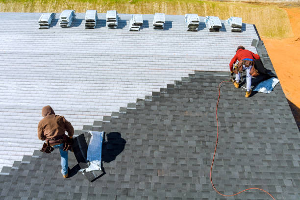 Best Roof Gutter Cleaning  in Tropical Park, FL