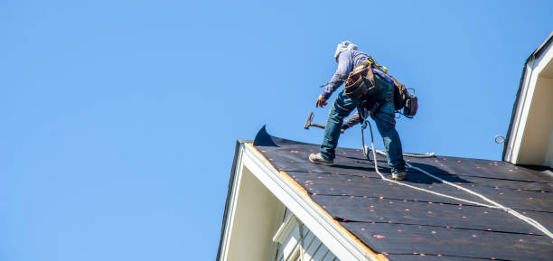 Best Roof Gutter Cleaning  in Tropical Park, FL